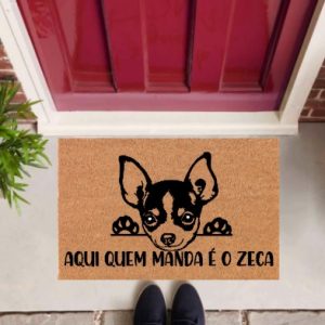 Tapete - Chihuahua