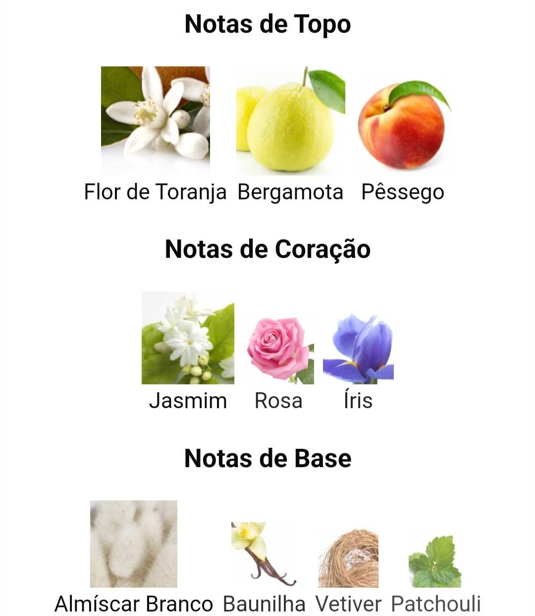 Chants Tenderina - Decants/Atomizadores - Image 3