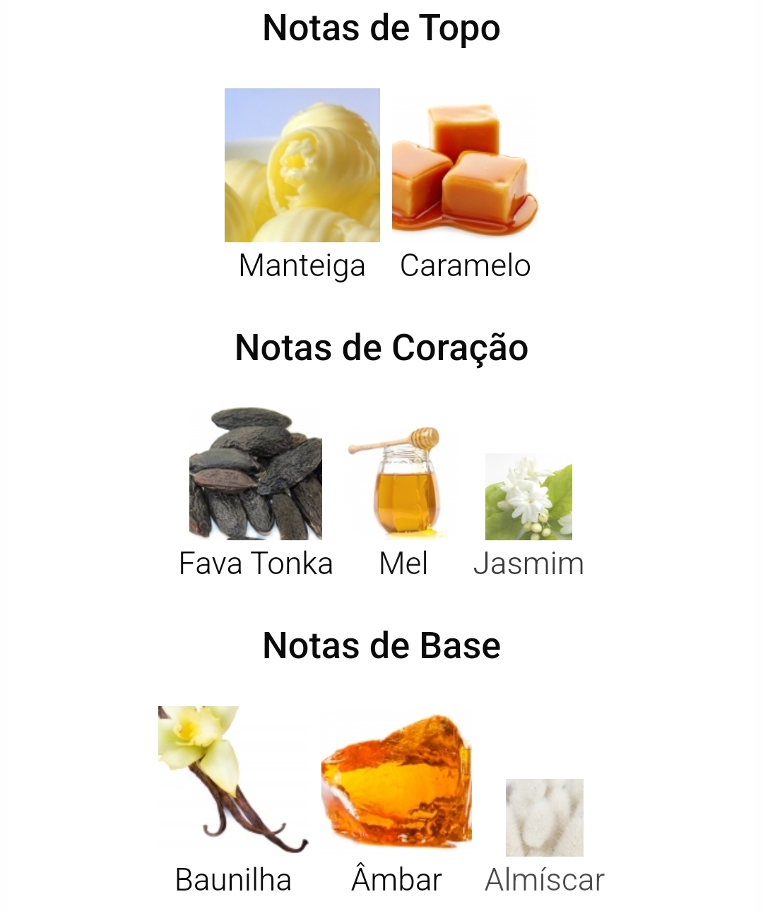 Vanilla Voyage - Decants/Atomizadores - Image 3