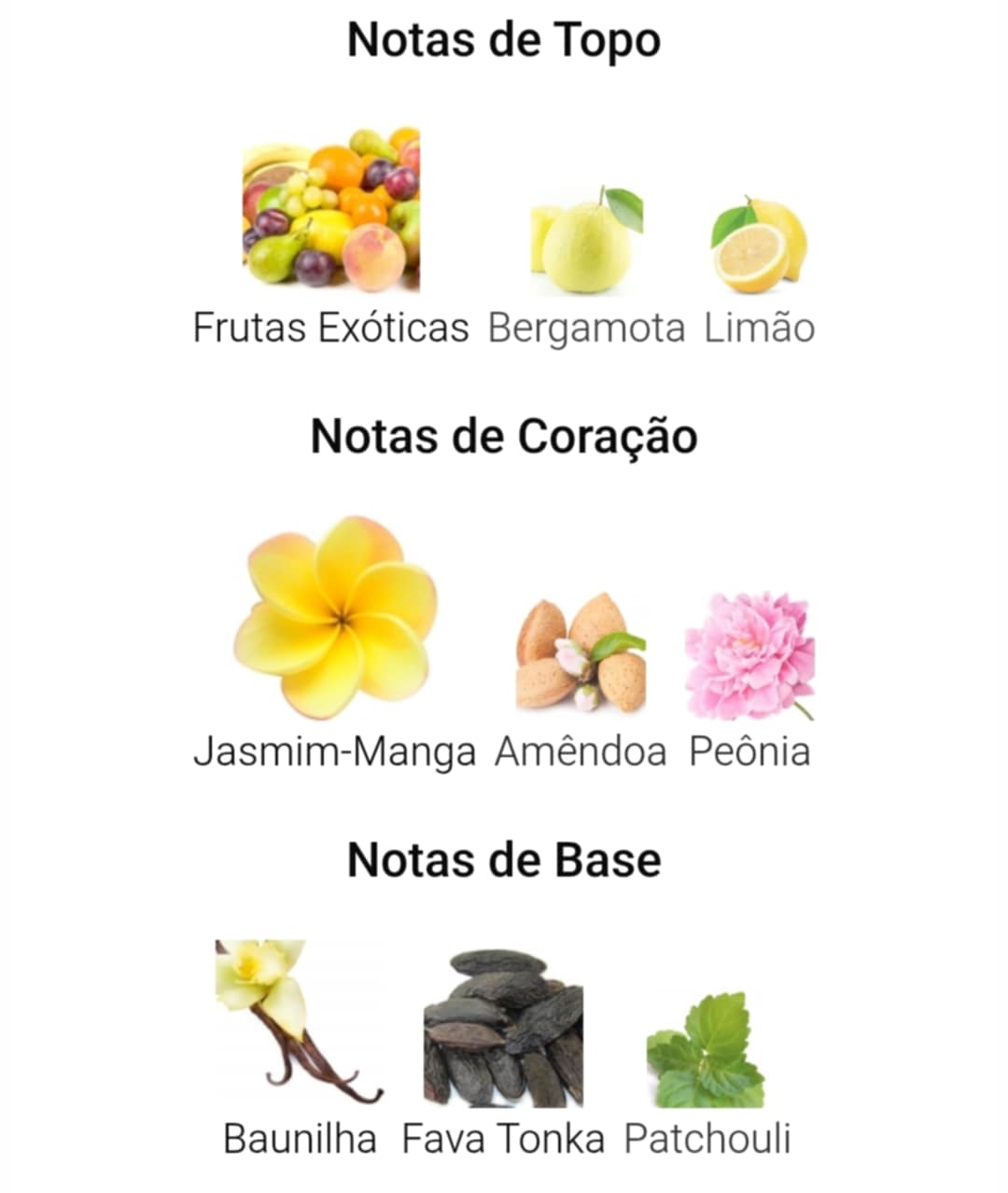 Fayora Oshino - Decants/Atomizadores - Image 3