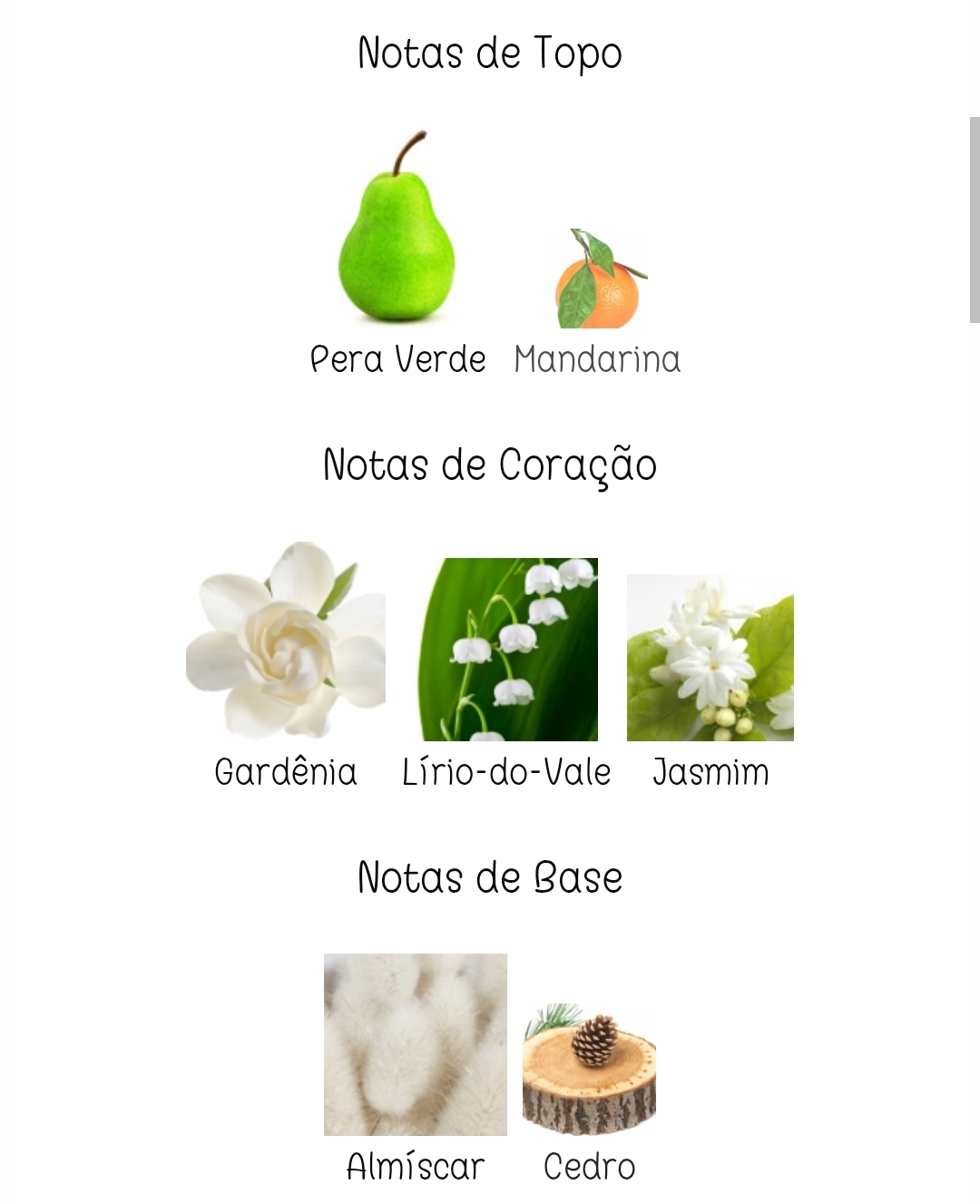 Layaan - Decants/Atomizadores - Image 3